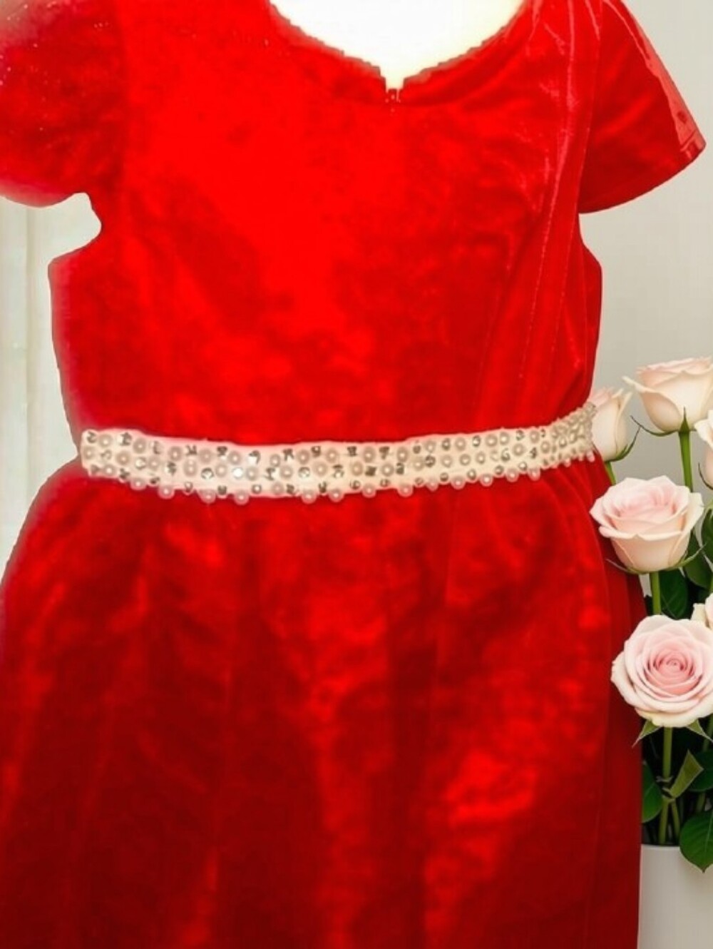 NWT Size 2T Jayne Copeland Dress